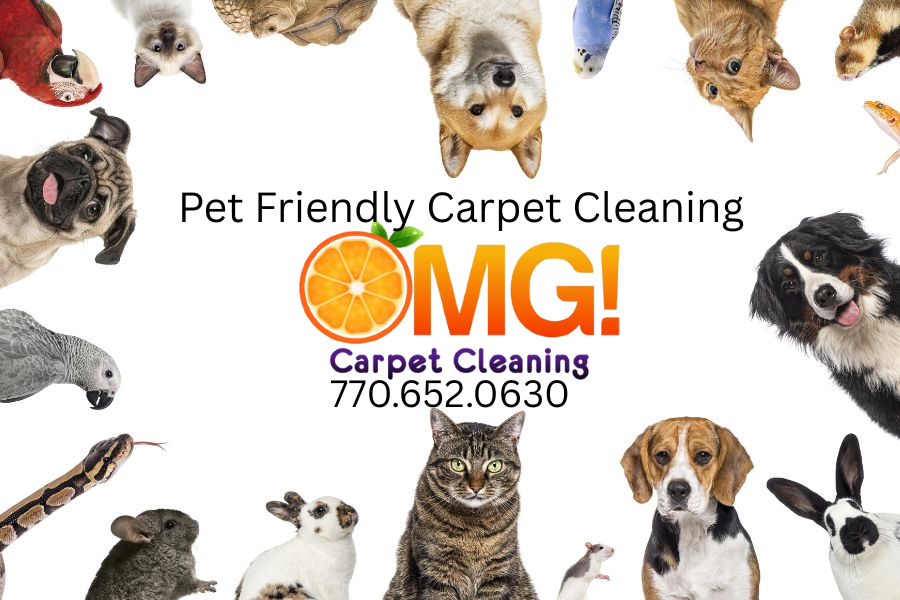 Pet Friendly Carpet Cleaning